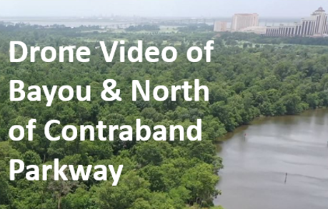 Image for Drone Video North and Bayou